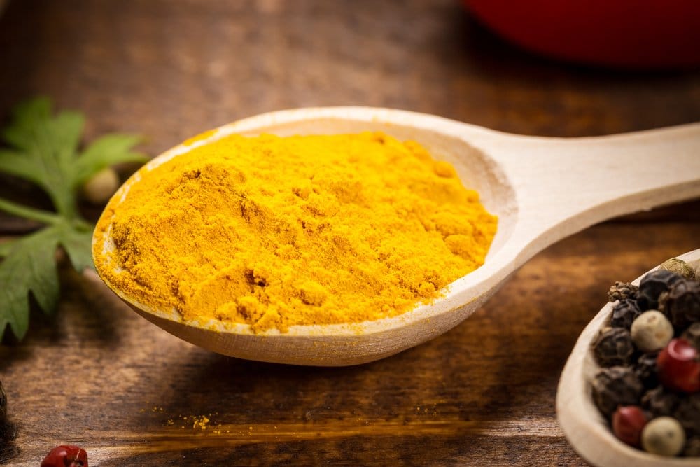 Turmeric For Dogs The Spice of Life
