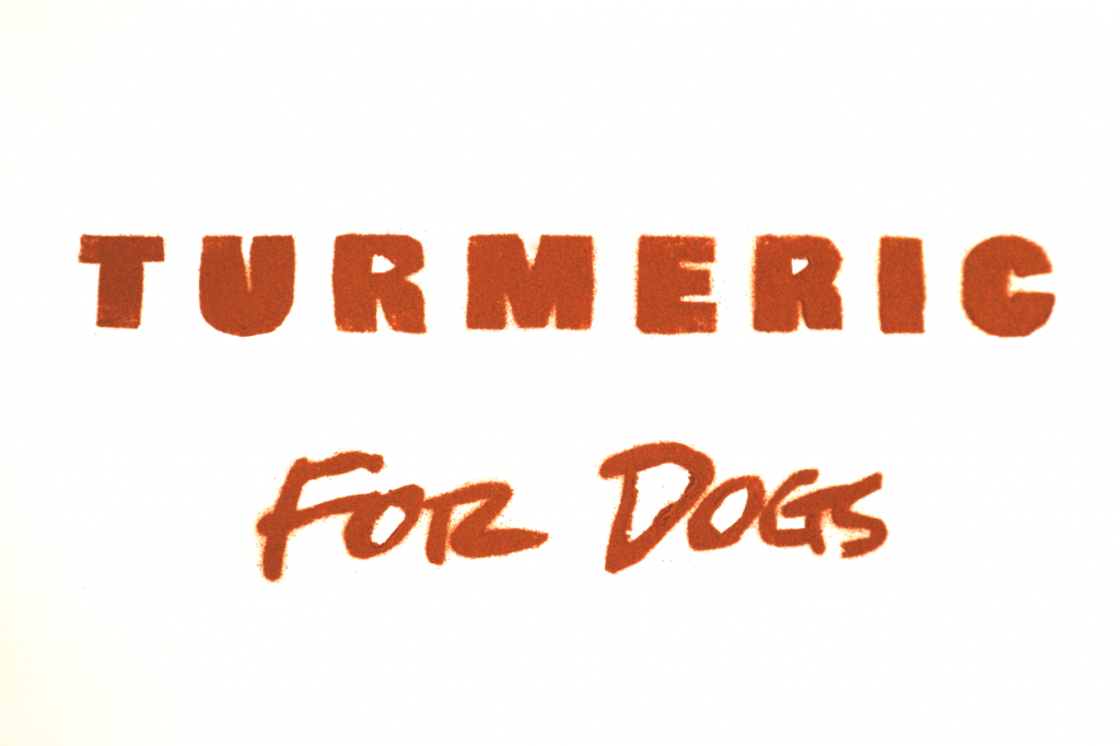 The benefits Of Turmeric For Dogs