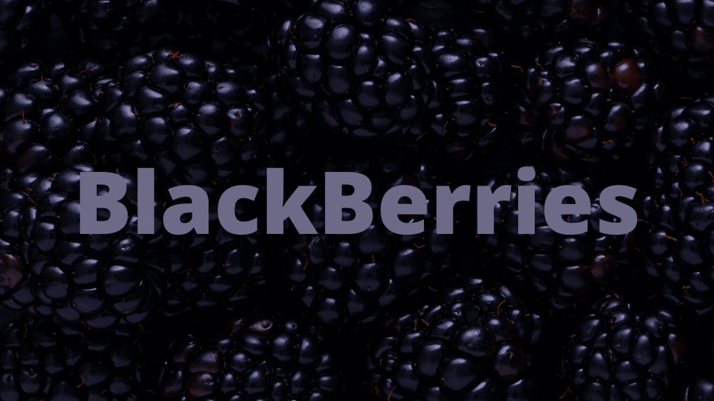 Can Dogs Eat Blackberries
