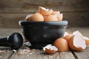 Can Dogs Eat Eggshells Crack The Code